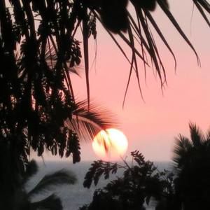 Meet your Posher, Janice